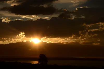 DSC_3305 (Large).JPG